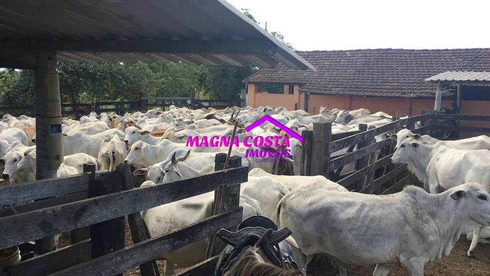 Fazenda, 252 hectares - Foto 4