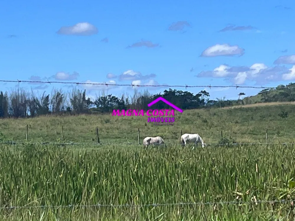 Fazenda, 252 hectares - Foto 26