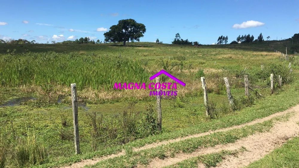 Fazenda, 252 hectares - Foto 21