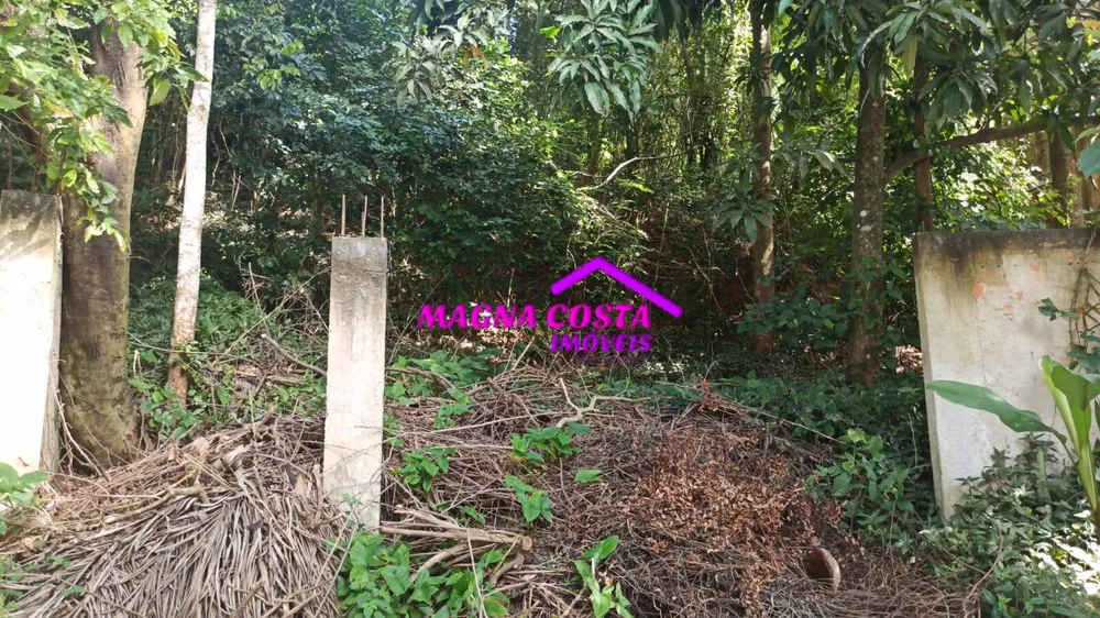 Terreno, 9800 m² - Foto 5