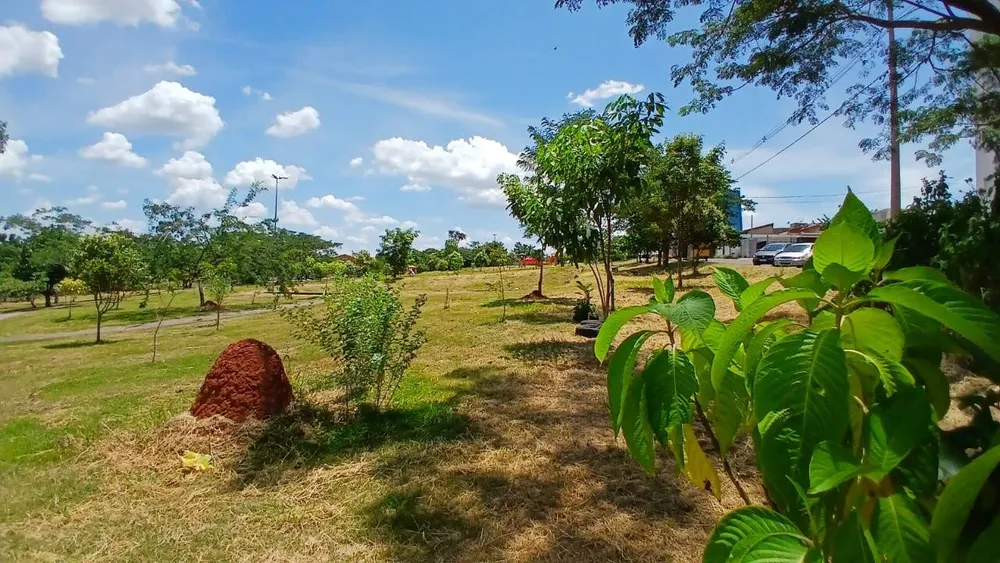 Apartamento, 3 quartos, 60 m² - Foto 4
