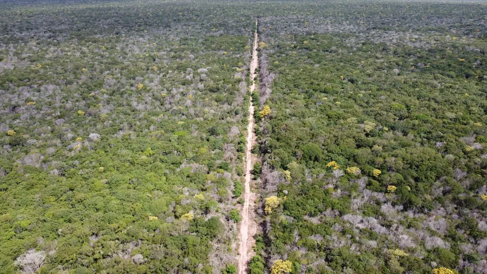 Fazenda, 2 hectares - Foto 4