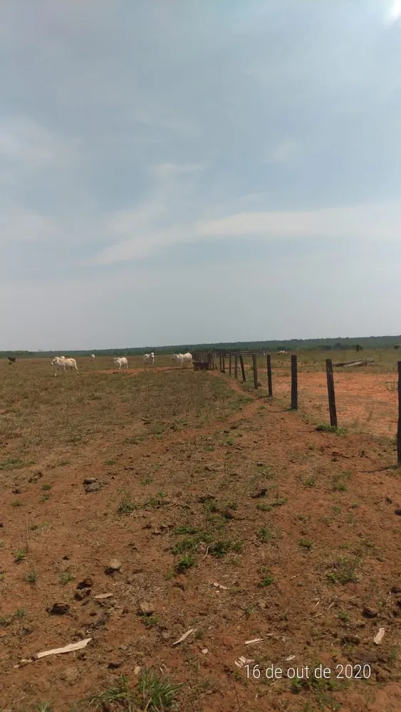 Fazenda, 4 hectares - Foto 3