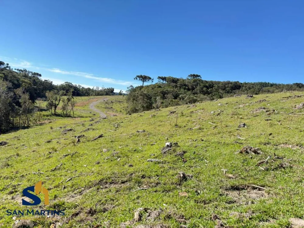 Terreno, 4 hectares - Foto 3