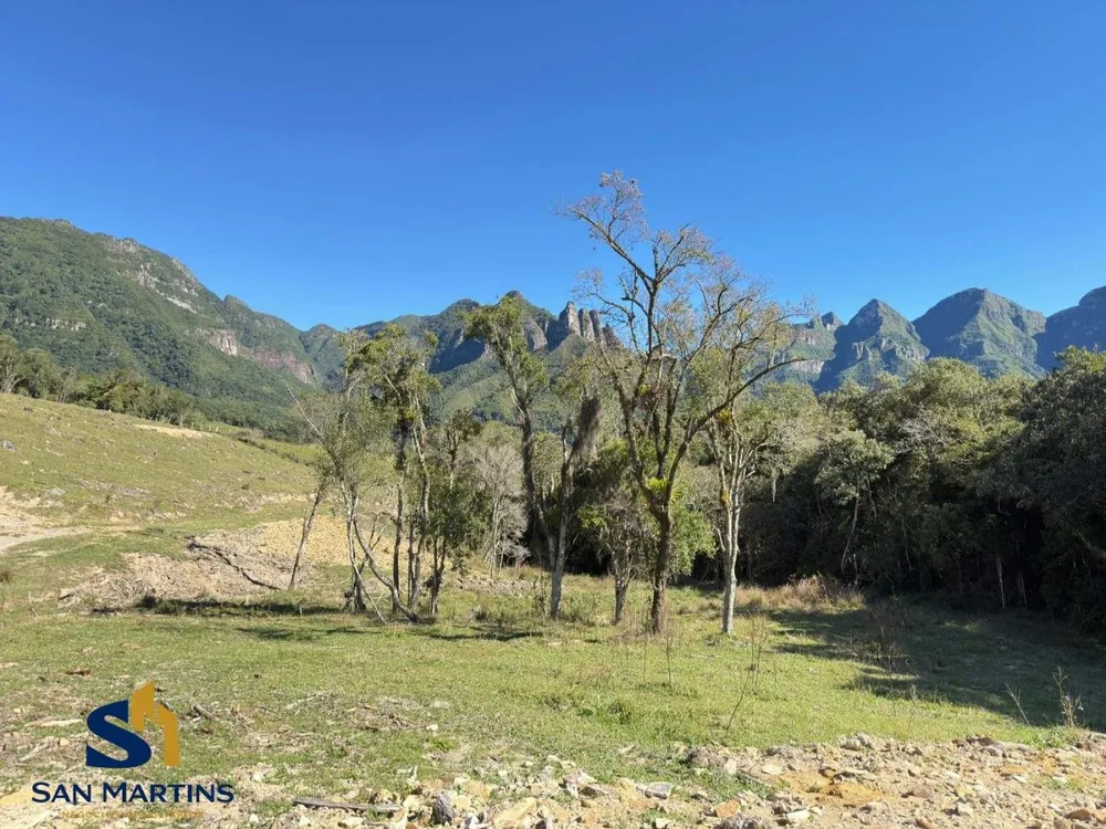 Terreno, 4 hectares - Foto 7