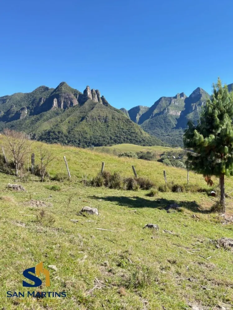 Terreno, 4 hectares - Foto 4