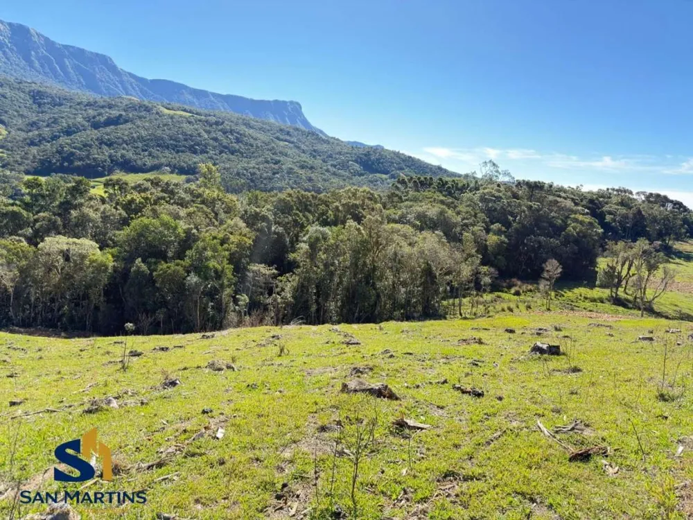 Terreno, 4 hectares - Foto 6