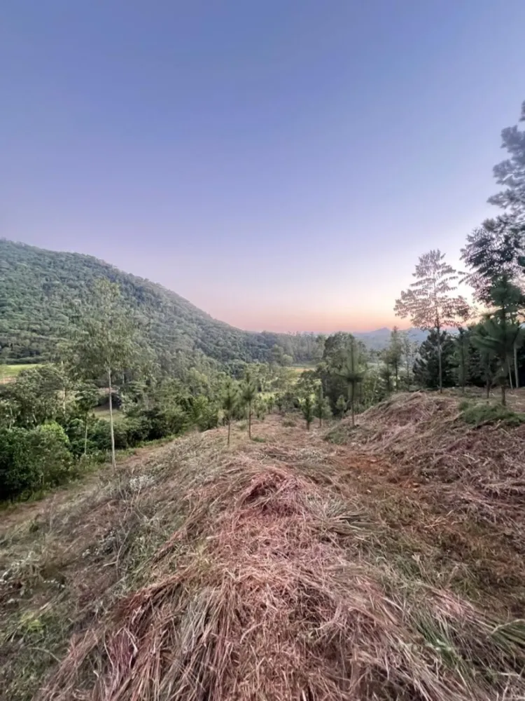 Terreno, 14 hectares - Foto 8