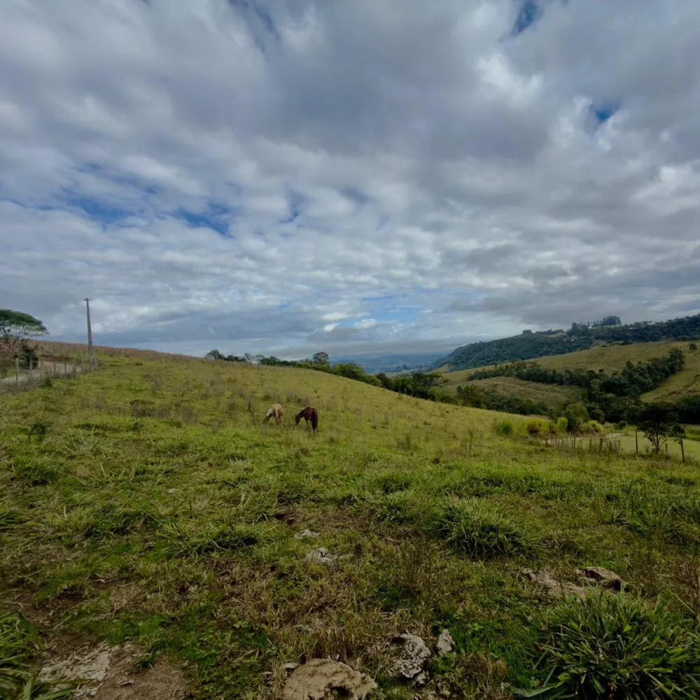 Terreno, 2 hectares - Foto 1