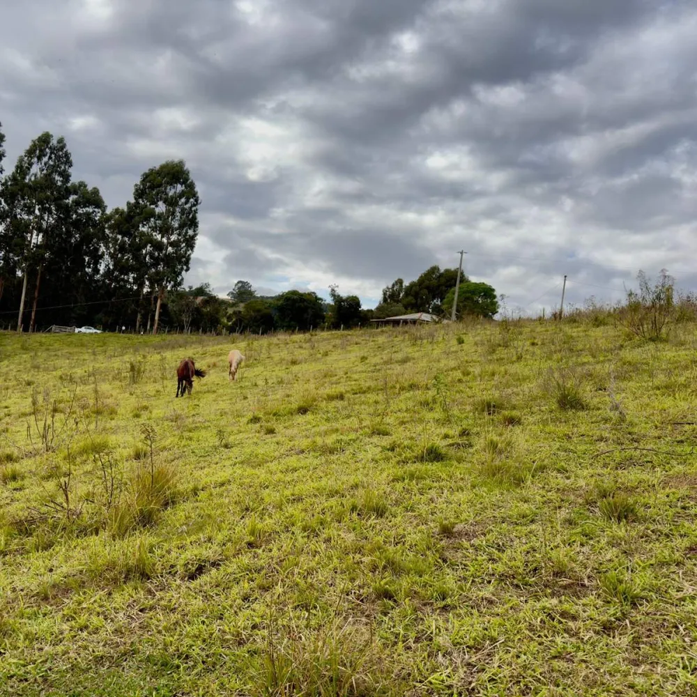 Terreno, 2 hectares - Foto 4