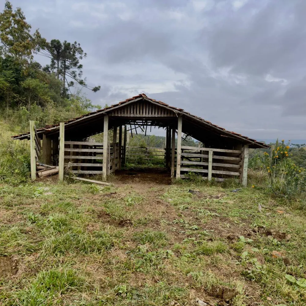 Terreno, 2 hectares - Foto 3