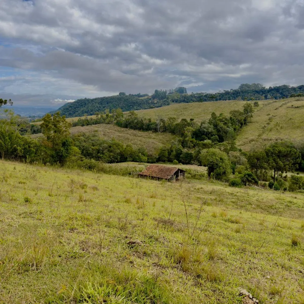 Terreno, 2 hectares - Foto 6