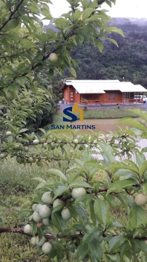 Sítio, 3 quartos, 12 hectares - Foto 3