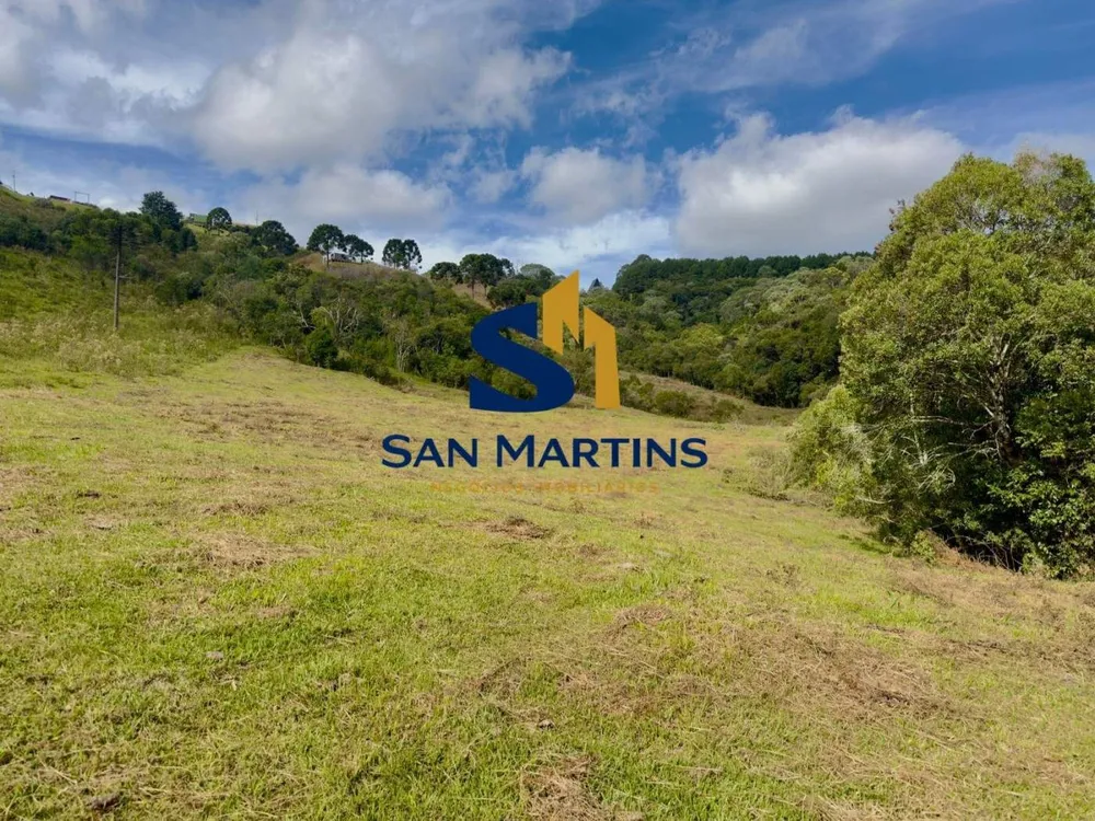 Terreno, 2 hectares - Foto 7