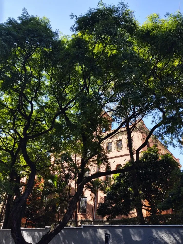 Apartamento, 1 quarto, 30 m² - Foto 1