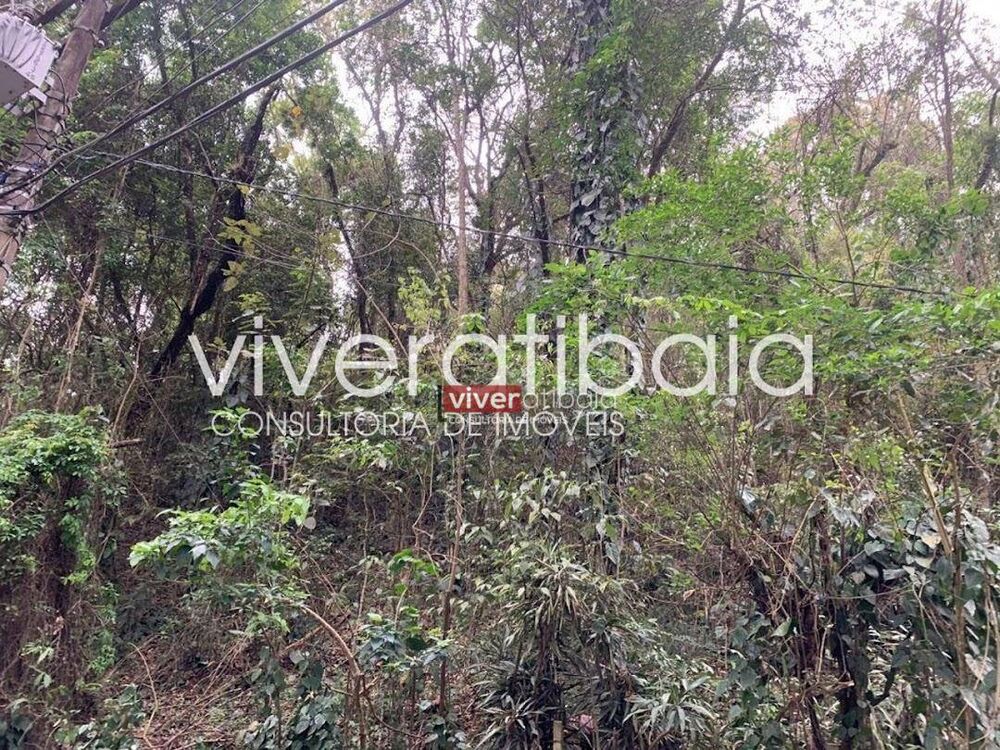 Terreno, 2 hectares - Foto 2