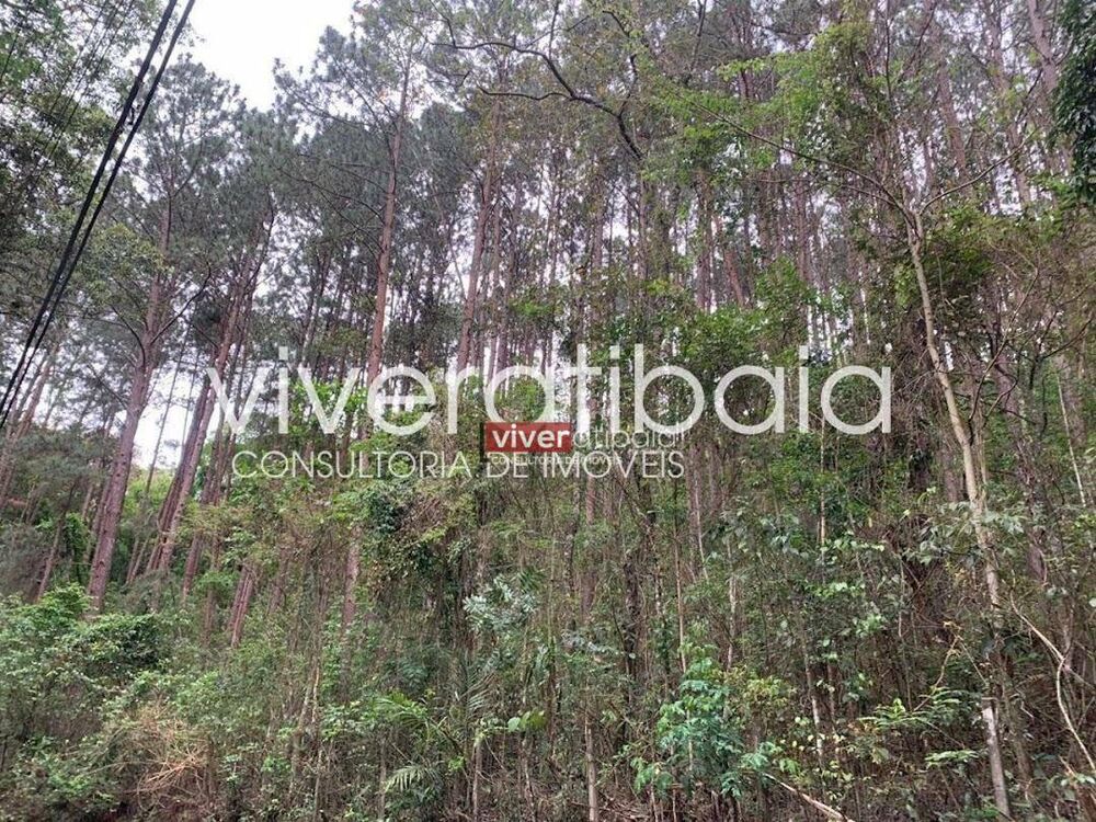 Terreno, 2 hectares - Foto 7