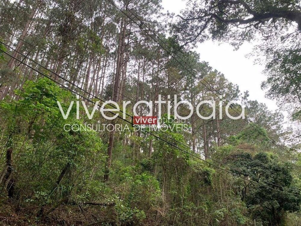 Terreno, 2 hectares - Foto 6