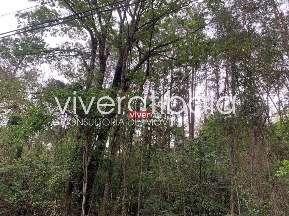 Terreno, 2 hectares - Foto 5