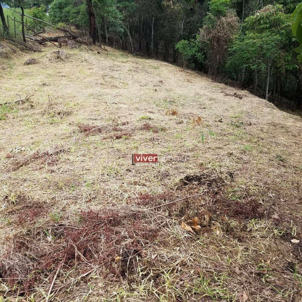 Terreno, 3150 m² - Foto 6