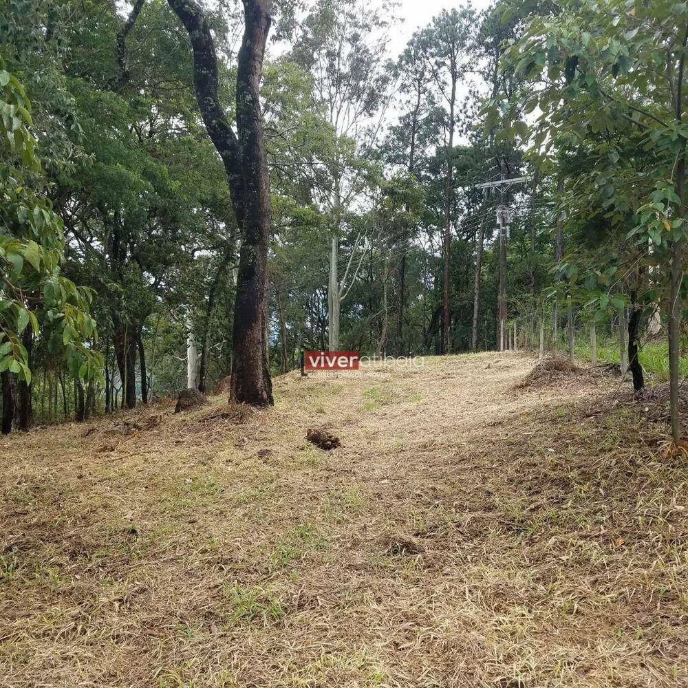 Terreno, 3150 m² - Foto 5