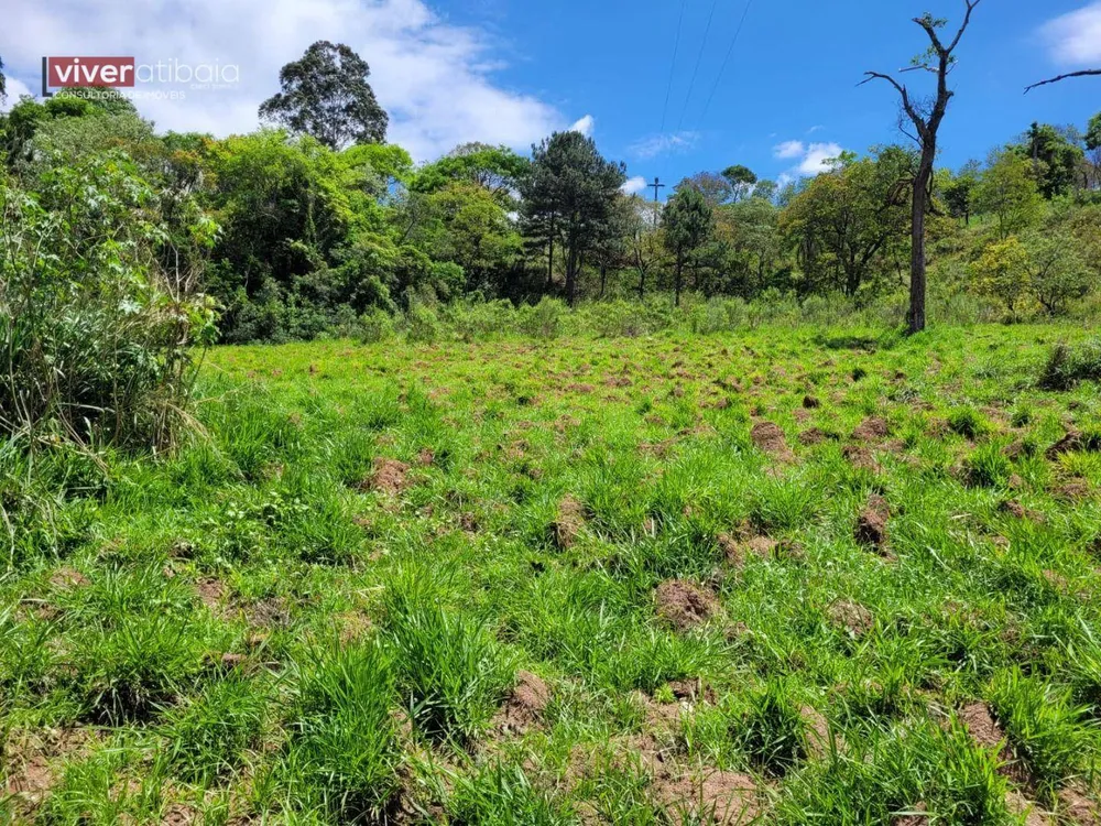 Terreno, 2 hectares - Foto 3