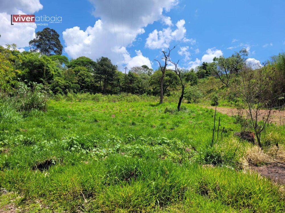 Terreno, 2 hectares - Foto 3