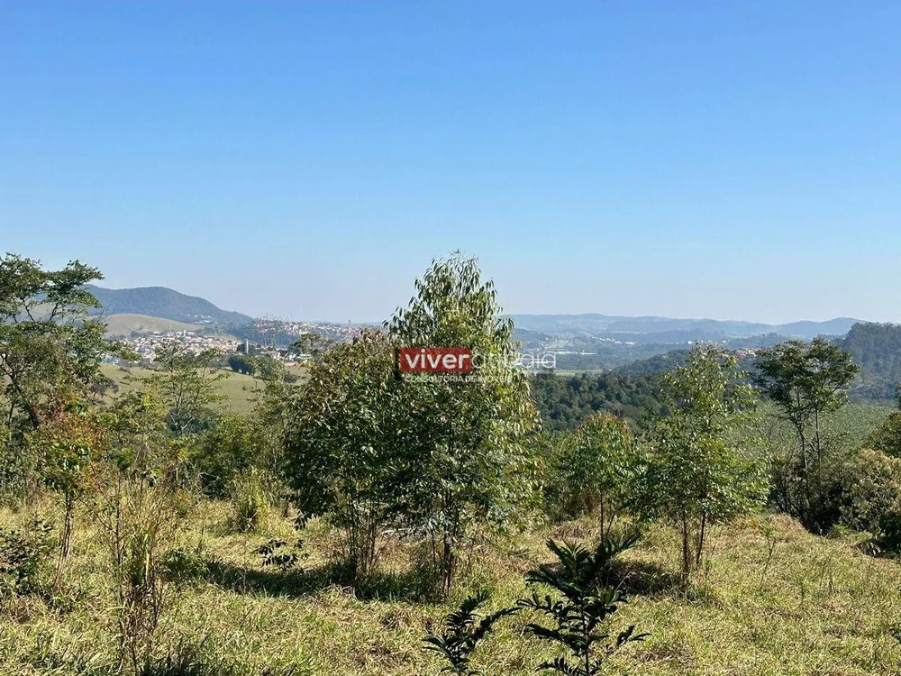 Terreno, 2 hectares - Foto 6