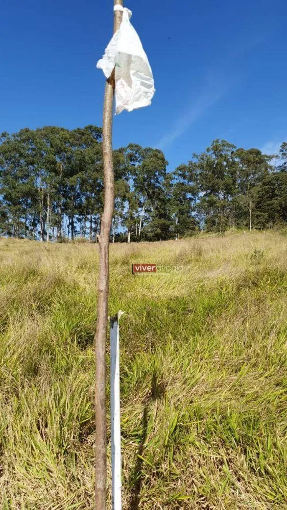Terreno, 2 hectares - Foto 3