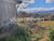 Terreno, 5 hectares - Foto 4