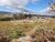 Terreno, 5 hectares - Foto 2