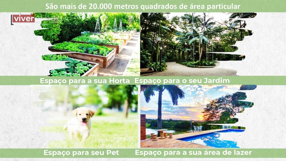 Terreno, 2 hectares - Foto 7