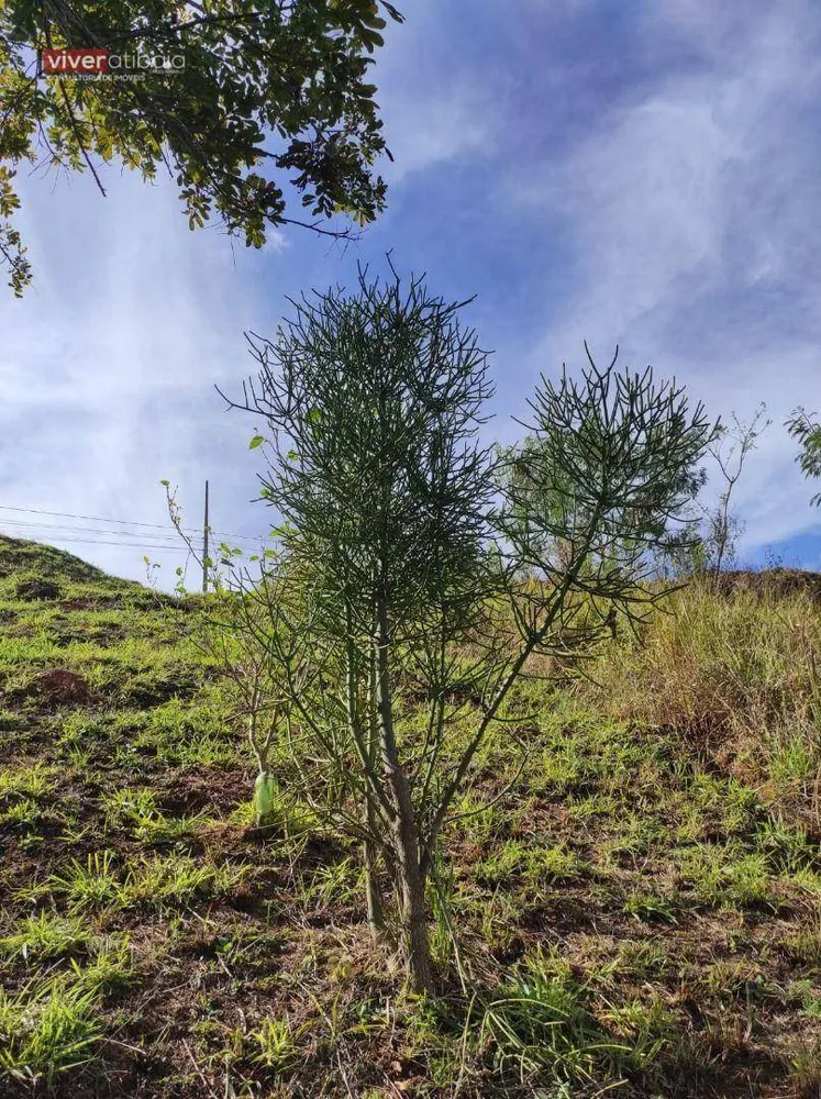 Terreno, 600 m² - Foto 6