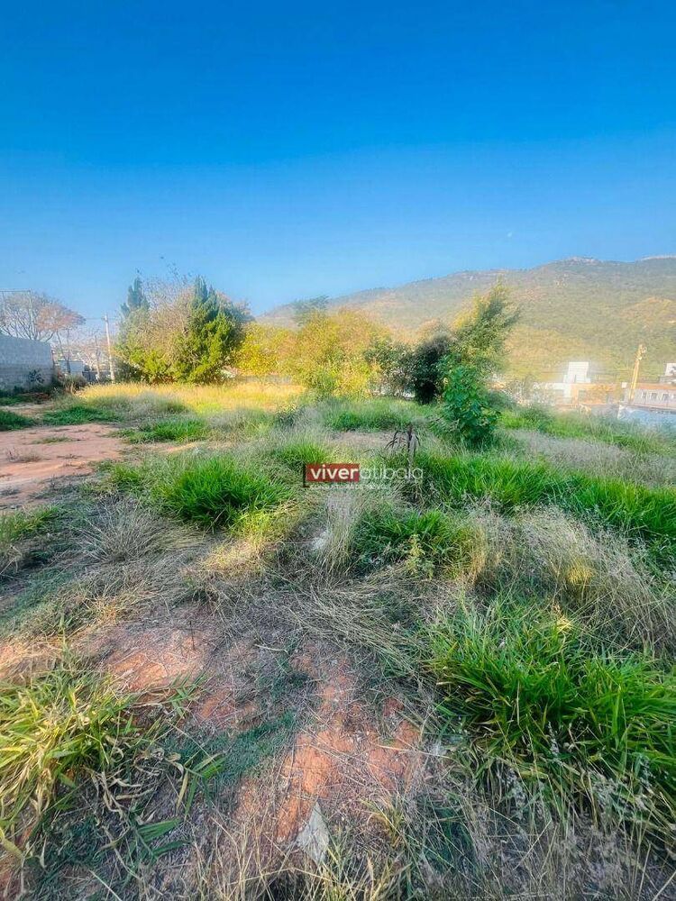 Terreno, 506 m² - Foto 6
