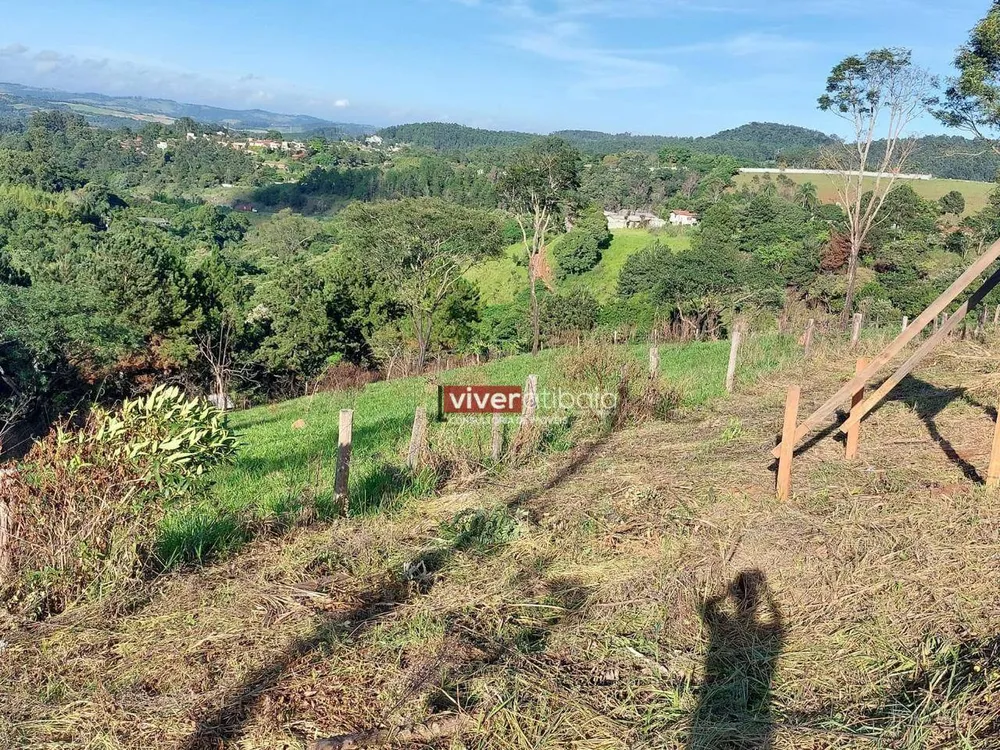 Terreno, 8700 m² - Foto 3