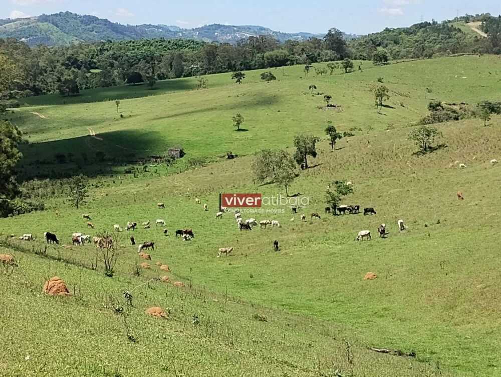 Terreno, 1200 m² - Foto 1