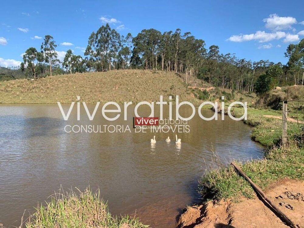 Terreno, 3 hectares - Foto 1