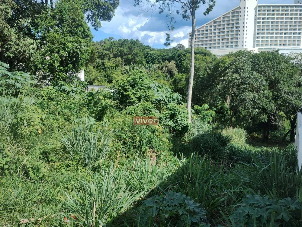 Terreno, 250 m² - Foto 3