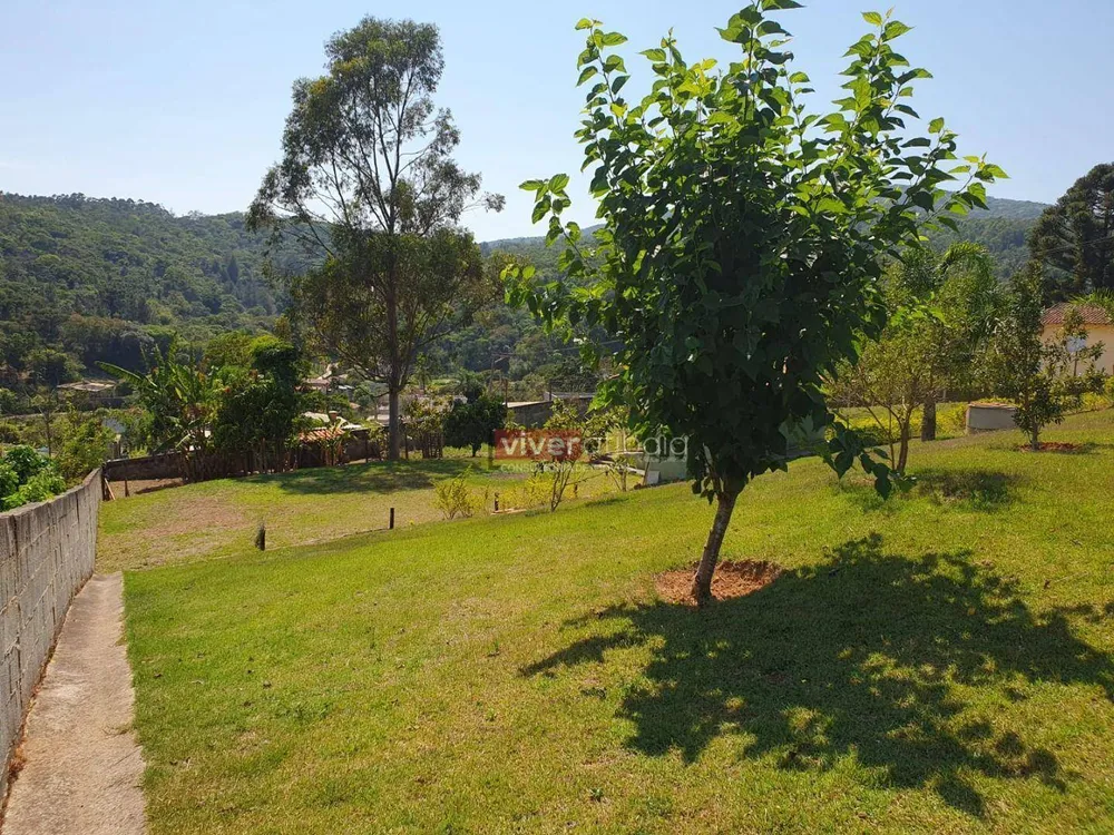 Chácara, 2 quartos, 2200 m² - Foto 4