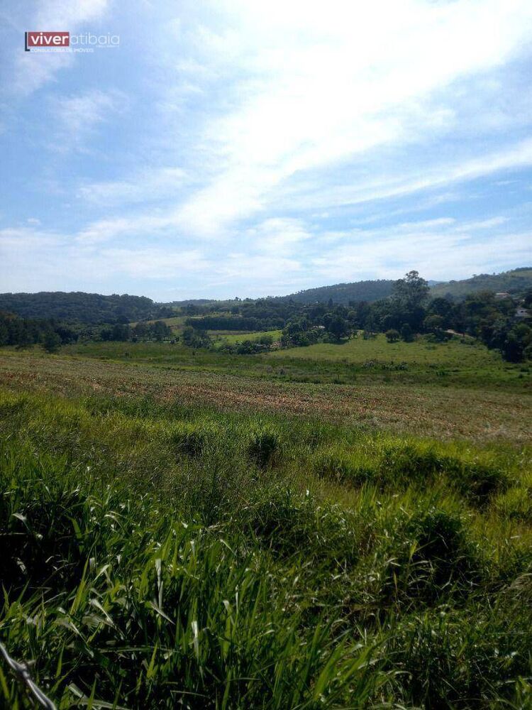 Terreno, 10 hectares - Foto 4