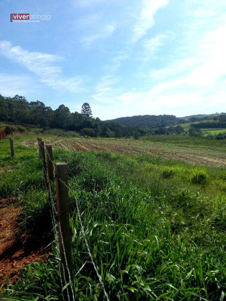 Terreno, 10 hectares - Foto 2