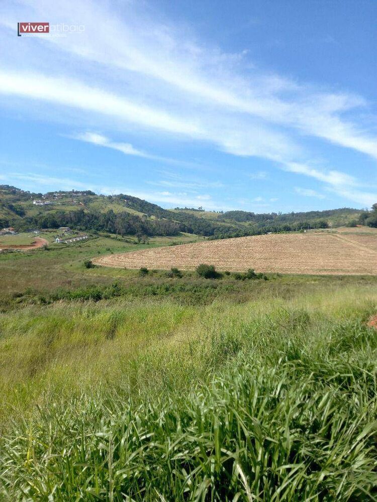 Terreno, 10 hectares - Foto 3