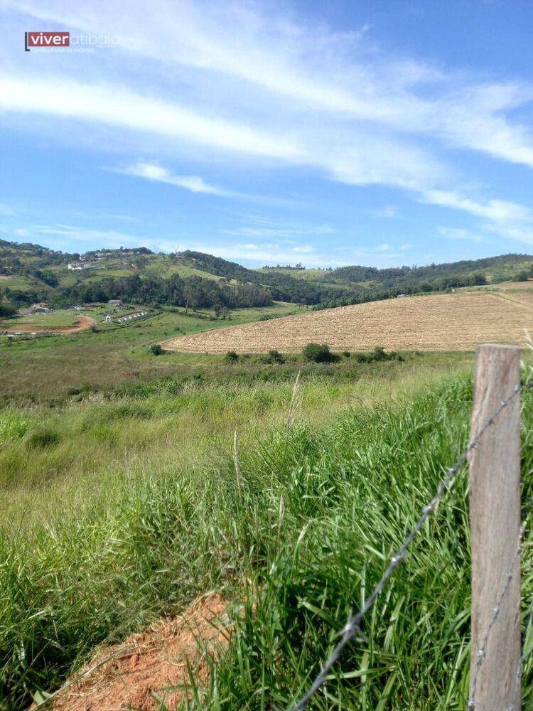 Terreno, 10 hectares - Foto 1