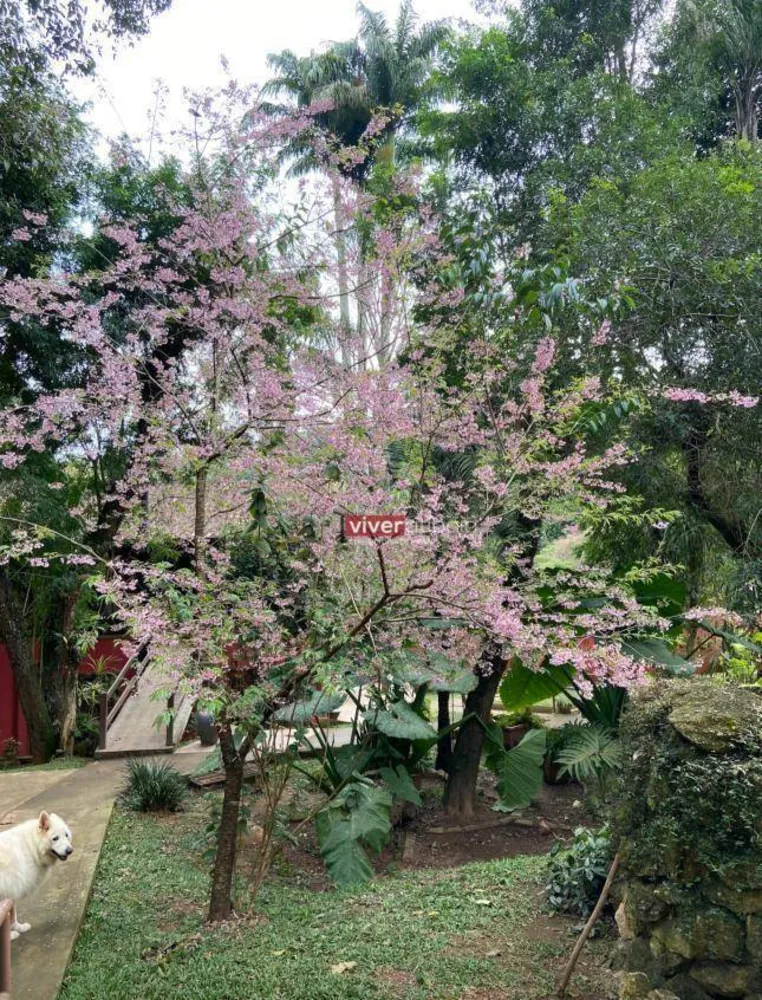 Casa, 3 quartos, 500 m² - Foto 3