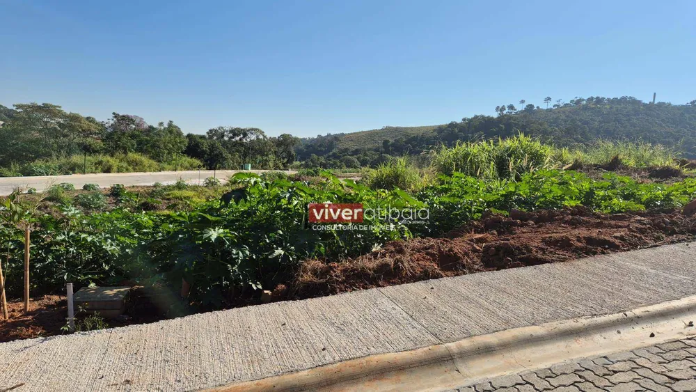 Terreno, 379 m² - Foto 4
