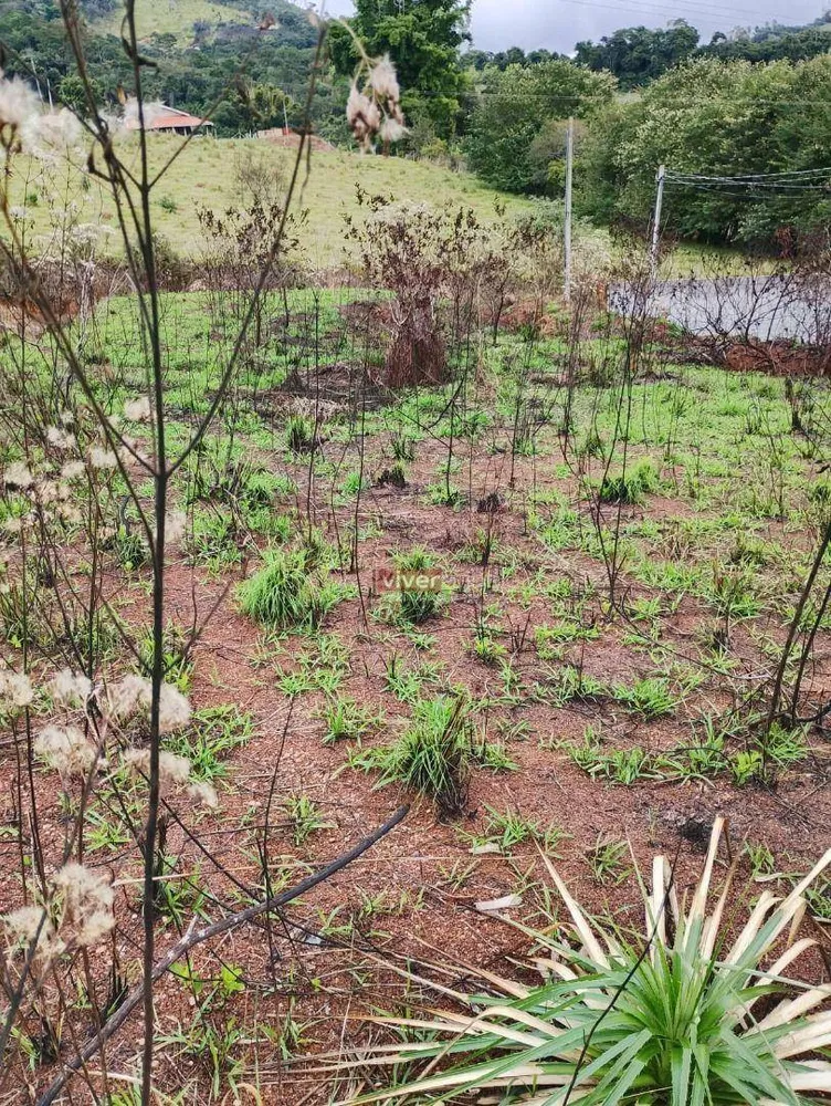 Terreno, 2062 m² - Foto 6