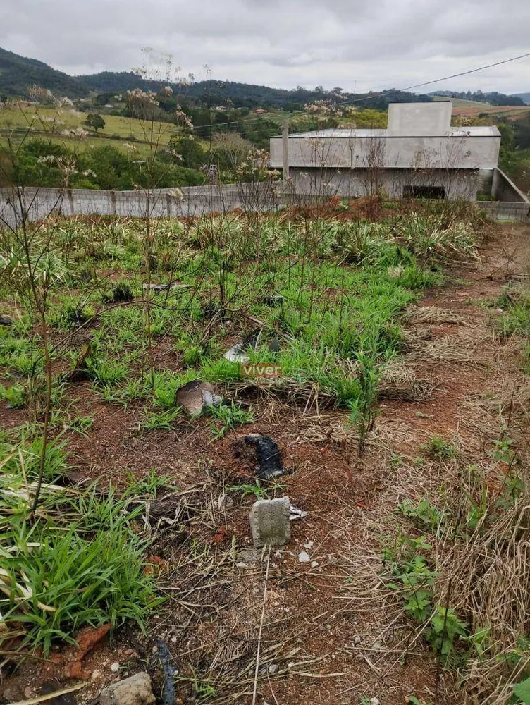 Terreno, 2062 m² - Foto 3