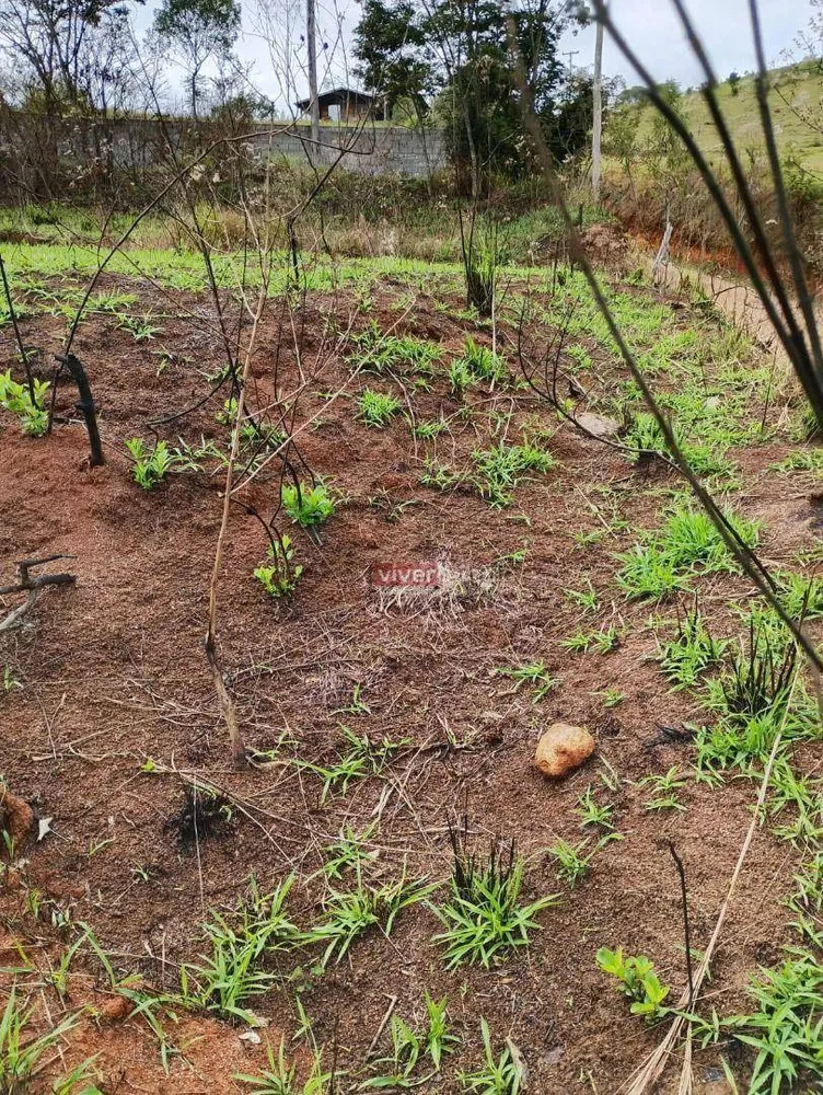 Terreno, 2062 m² - Foto 9