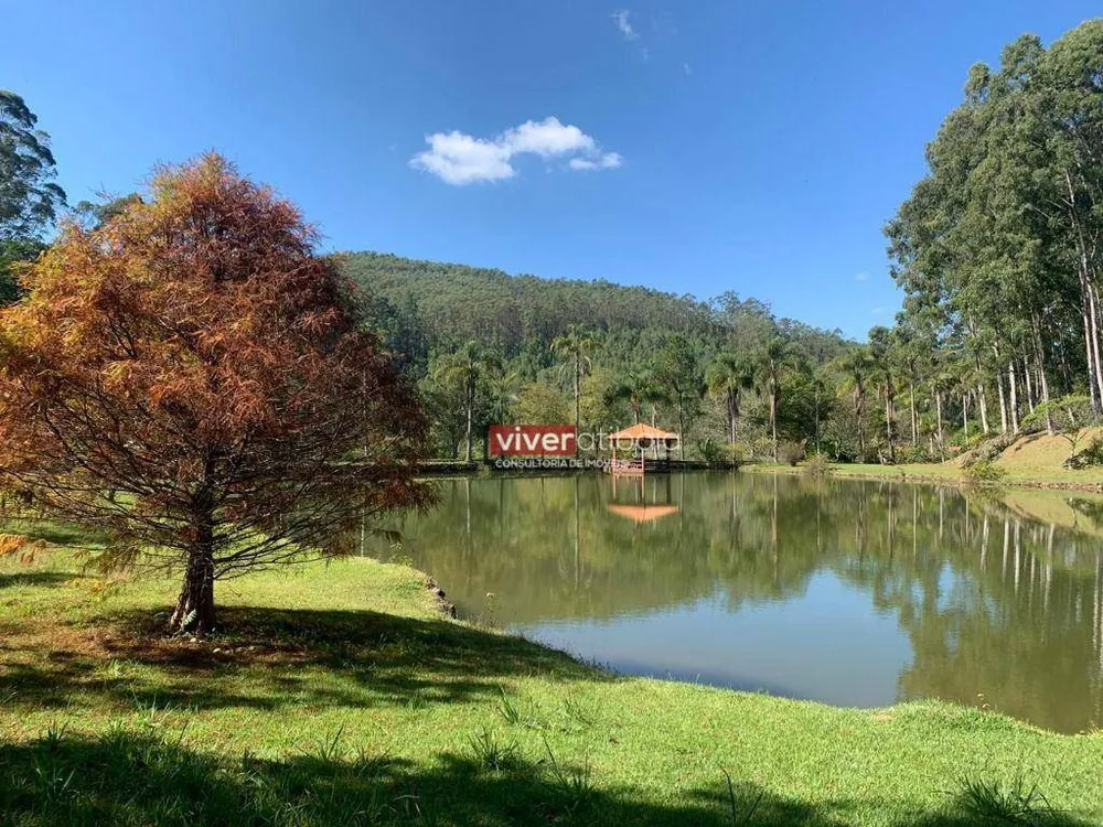 Chácara, 6 quartos, 3 hectares - Foto 9