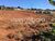 Terreno, 250 m² - Foto 6